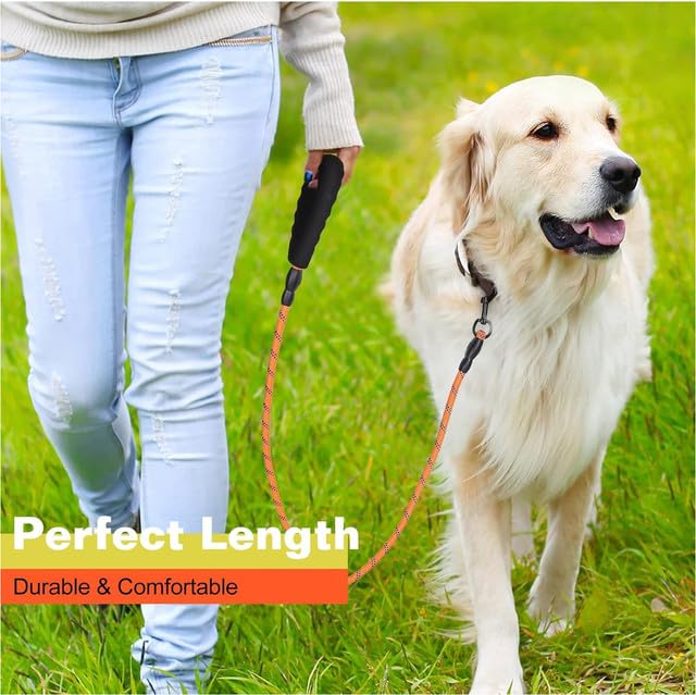 Heavy-Duty Dog Leash - 5FT Reflective Leash for All Dog Breeds