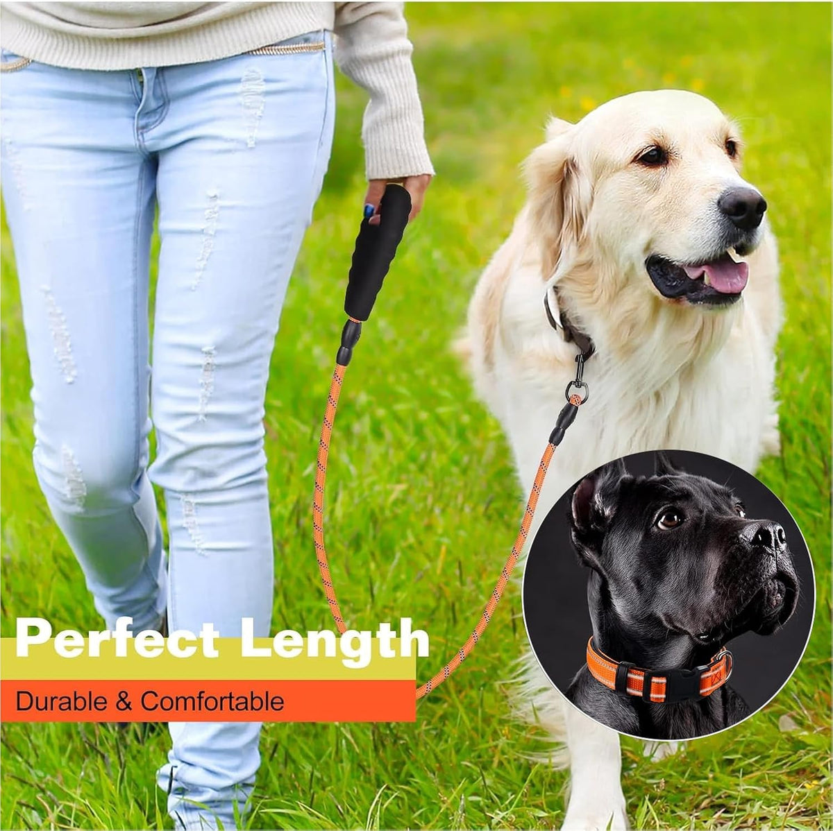 5FT Reflective Heavy Duty Dog Leash Collar Set