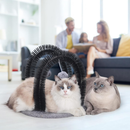 Cat Self Grooming Brush, 360 Degree Massage Arch with Soft Bristles and Hanging Plush Ball Toy,
