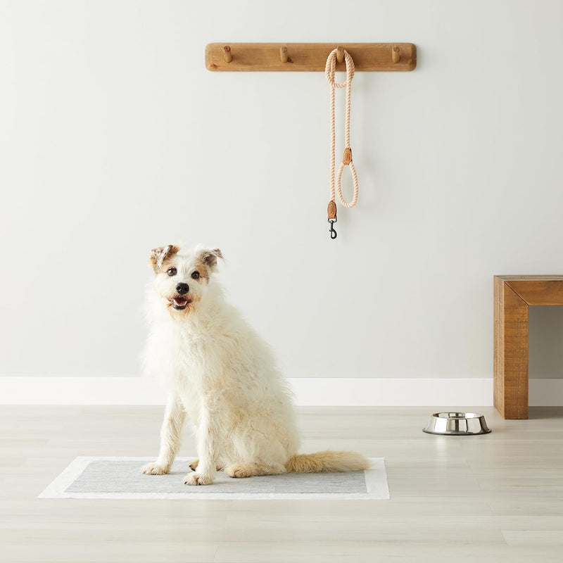 Emily Pets Carbon Puppy Pads