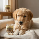 Veggie Milky Bones Vegetarian Dog Treats