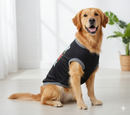 Dog Printed T Shirts for Small And Medium Breeds