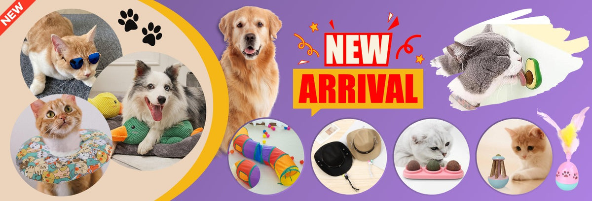 Accessorize Your Furball: Trendy Pet Must-Haves