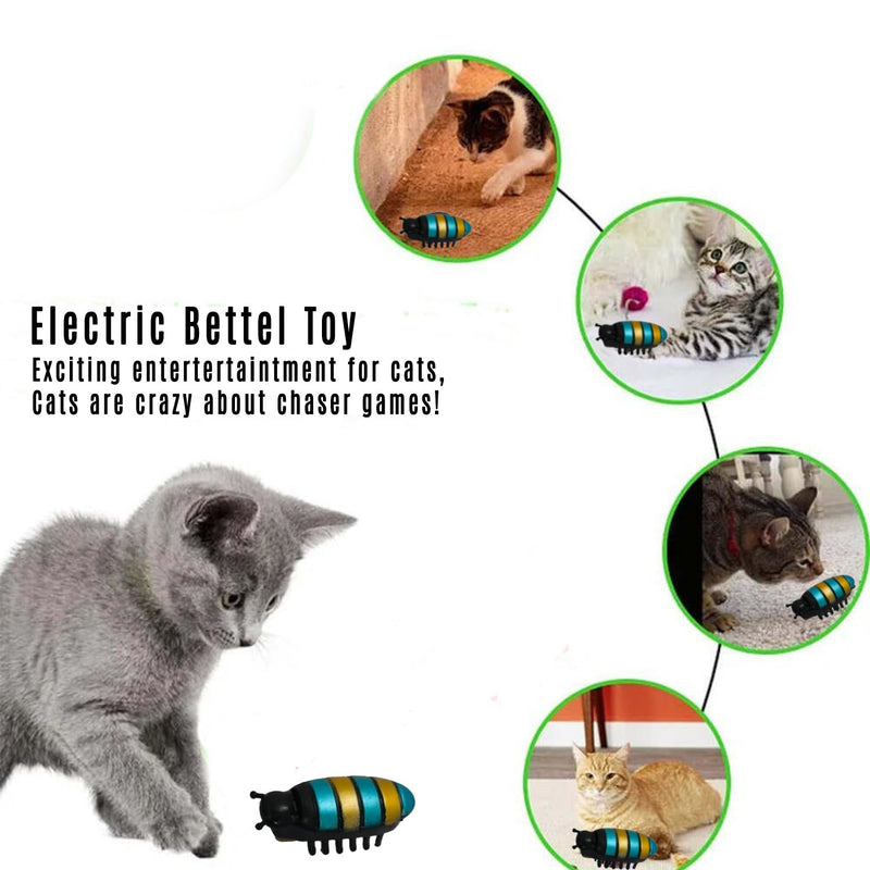 Multi-Color Electric Cat Toys