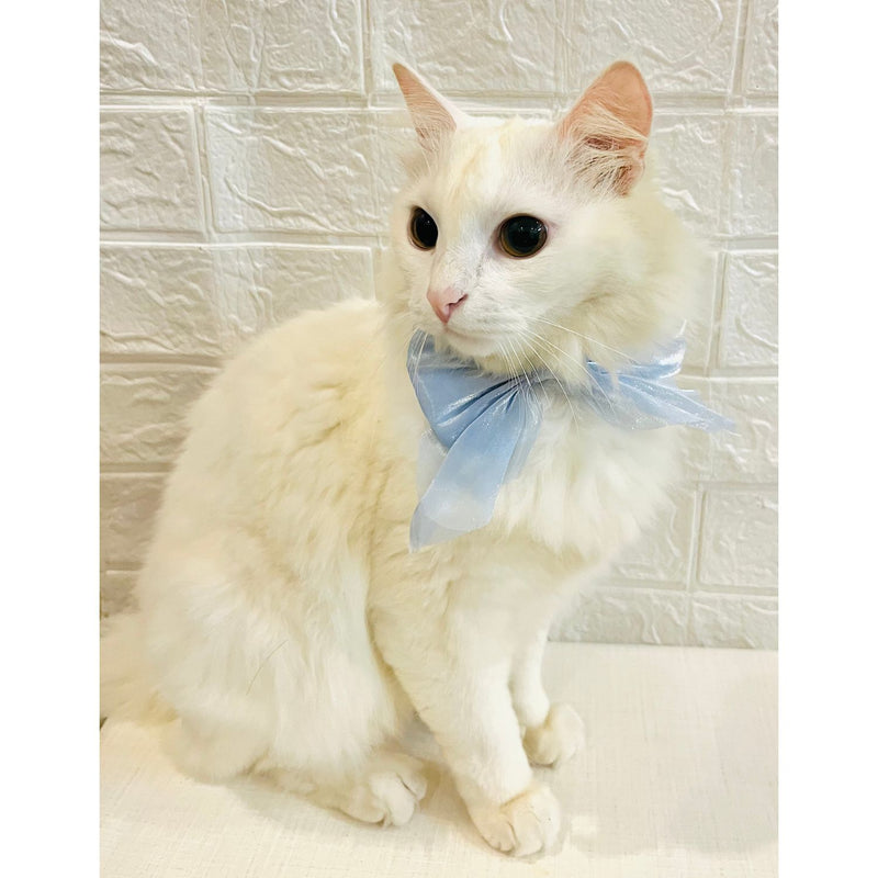 Adjustable Bow Tie Collar for Cats - Soft and Stylish Pet Neck Accessories for Kittens a