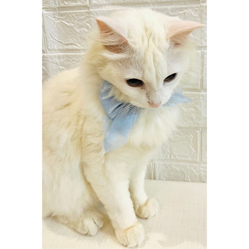 Adjustable Bow Tie Collar for Cats - Soft and Stylish Pet Neck Accessories for Kittens a