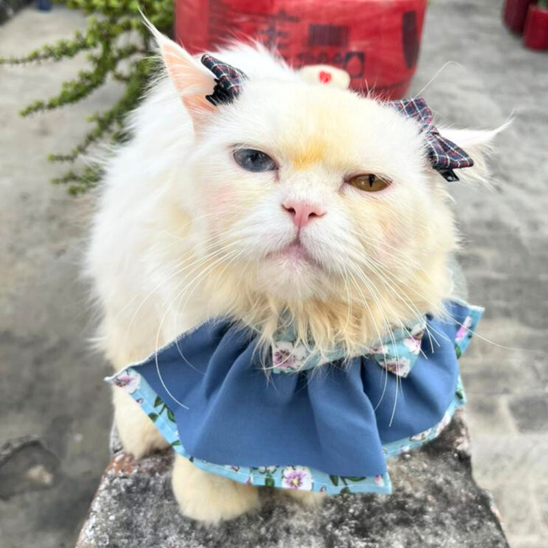 Floral Cat Collar with Bow