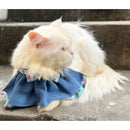 Floral Cat Collar with Bow