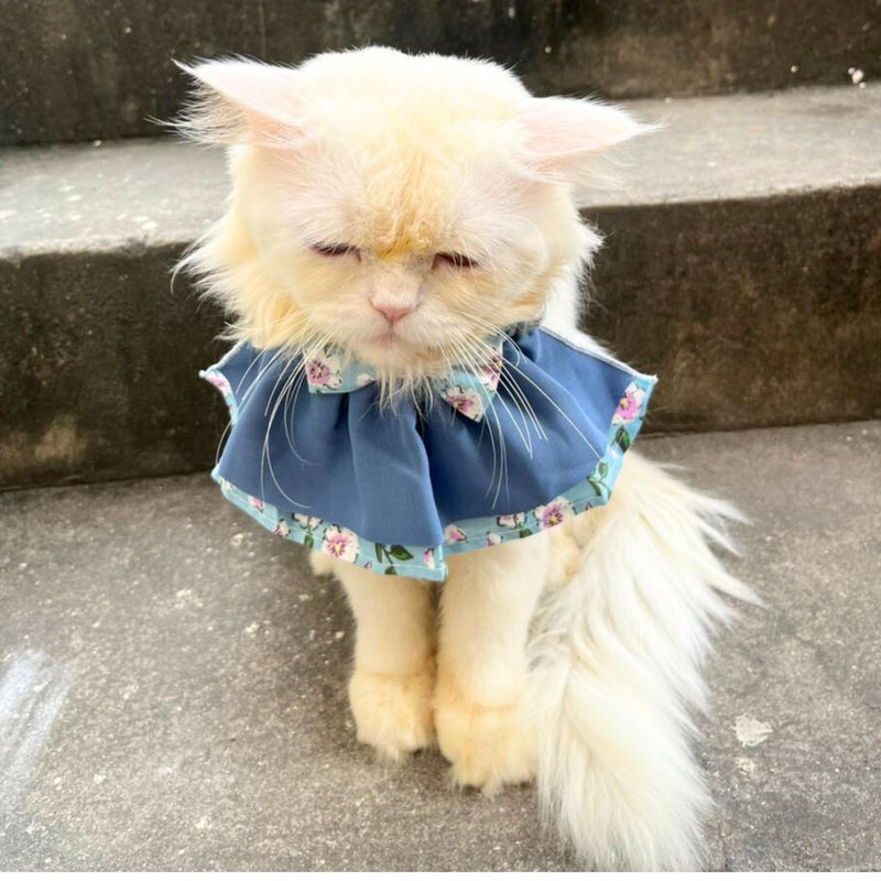 Floral Cat Collar with Bow