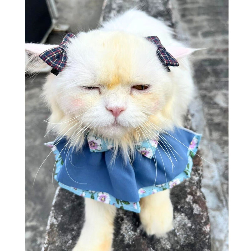 Floral Cat Collar with Bow