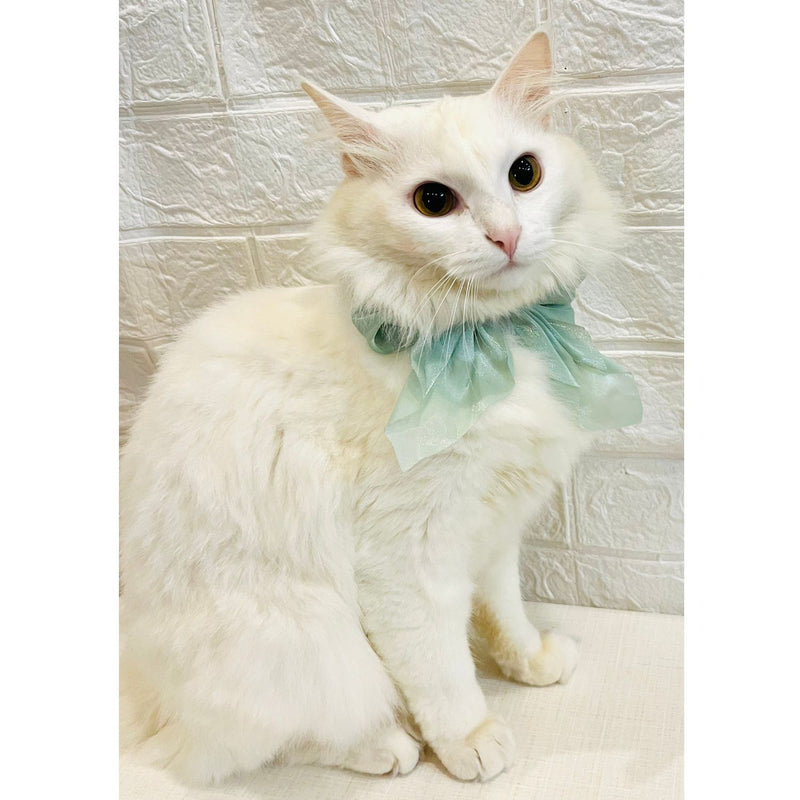 Adjustable Bow Tie Collar for Cats - Soft and Stylish Pet Neck Accessories for Kittens a