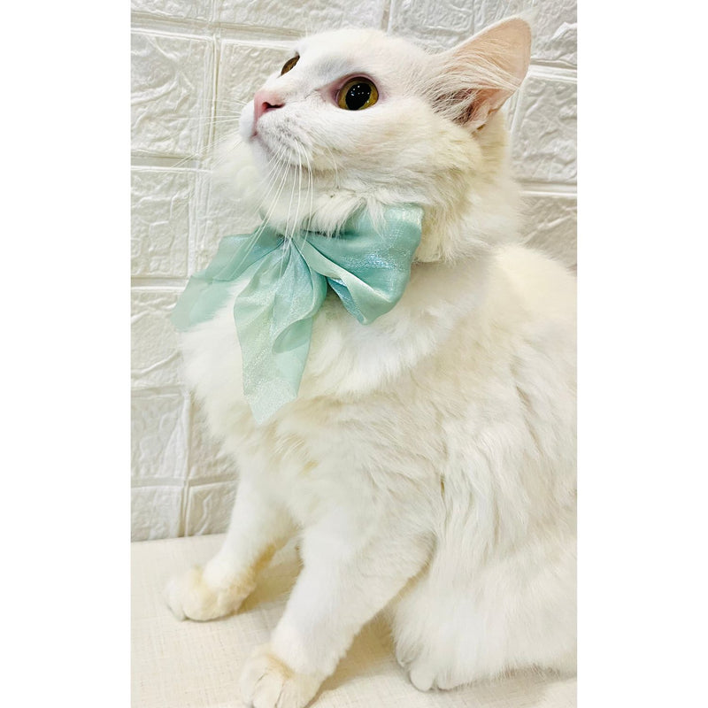 Adjustable Bow Tie Collar for Cats - Soft and Stylish Pet Neck Accessories for Kittens a