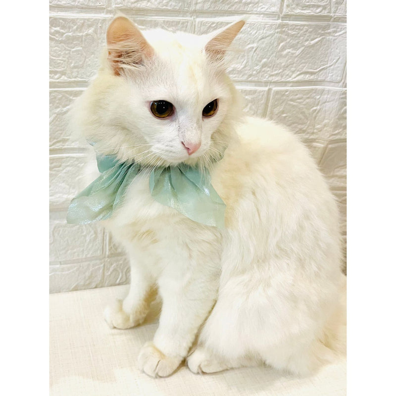 Adjustable Bow Tie Collar for Cats - Soft and Stylish Pet Neck Accessories for Kittens a