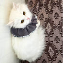 Floral Cat Collar with Bow