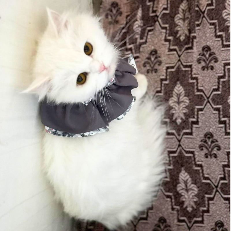 Floral Cat Collar with Bow