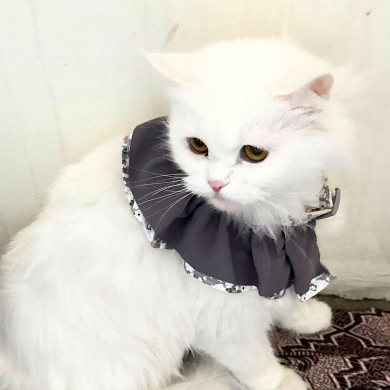 Floral Cat Collar with Bow