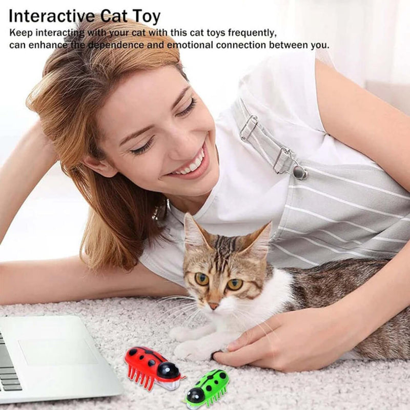 Multi-Color Electric Cat Toys