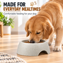 Pet Food Bowl for Dogs & Cats | Heavy Duty Raised Feeding Bowl