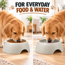 Pet Food Bowl for Dogs & Cats | Heavy Duty Raised Feeding Bowl