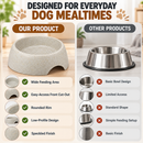 Pet Food Bowl for Dogs & Cats | Heavy Duty Raised Feeding Bowl