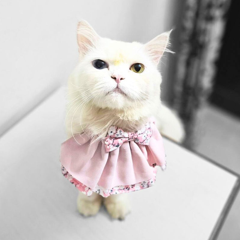 Floral Cat Collar with Bow