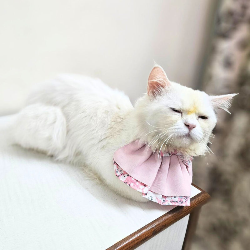 Floral Cat Collar with Bow