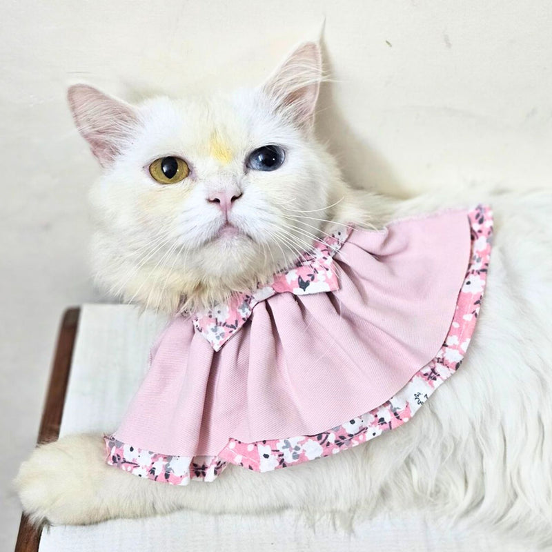 Floral Cat Collar with Bow