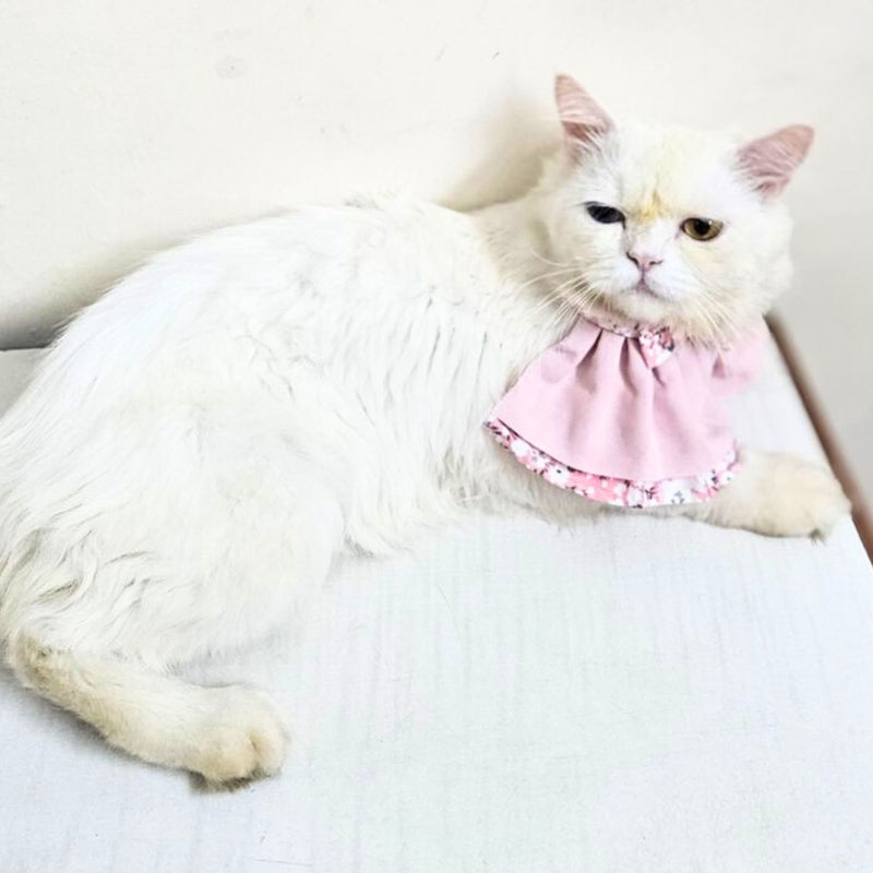 Floral Cat Collar with Bow