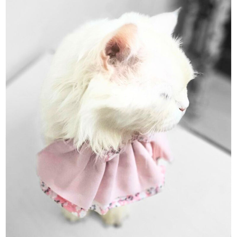 Floral Cat Collar with Bow