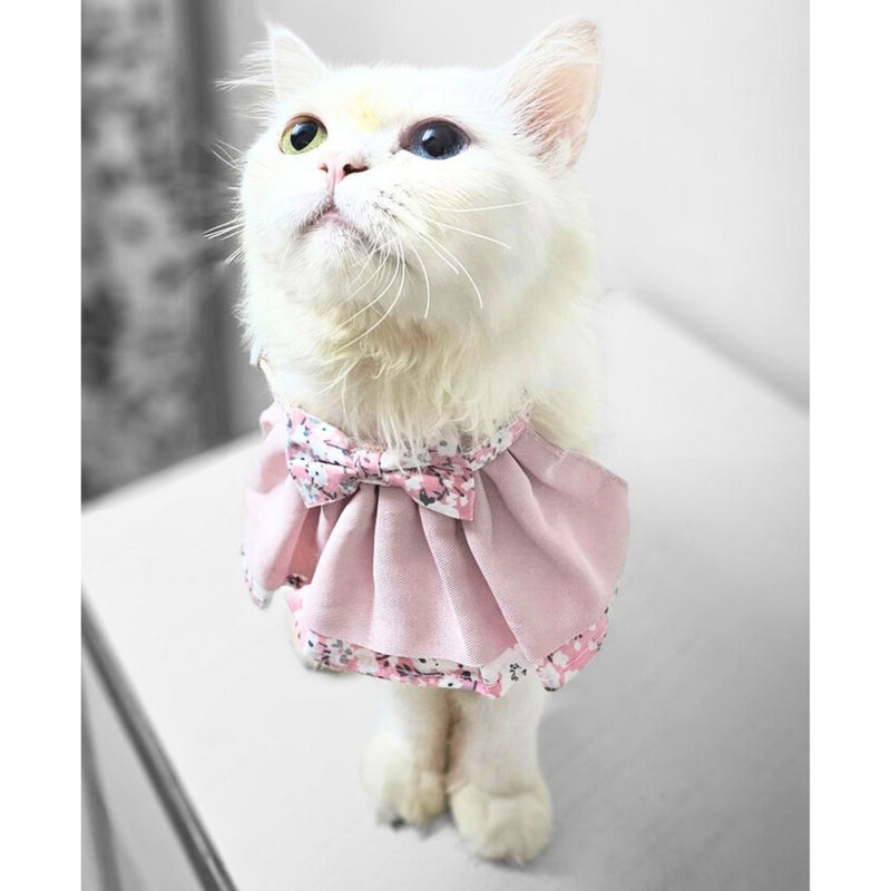 Floral Cat Collar with Bow