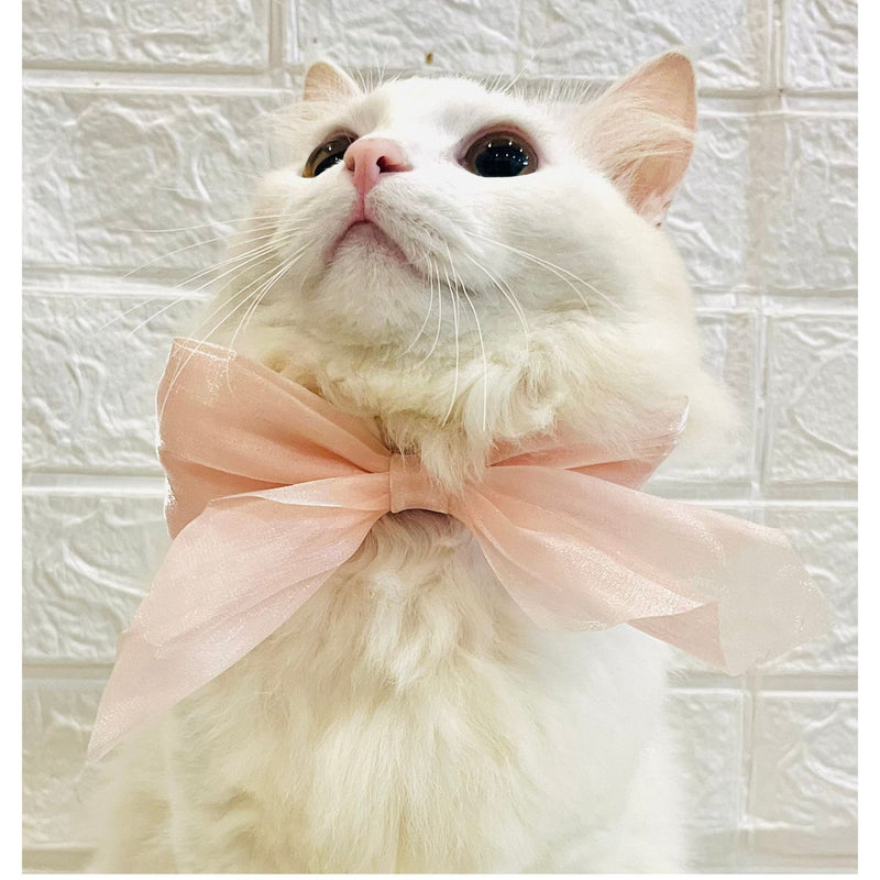 Adjustable Bow Tie Collar for Cats - Soft and Stylish Pet Neck Accessories for Kittens a