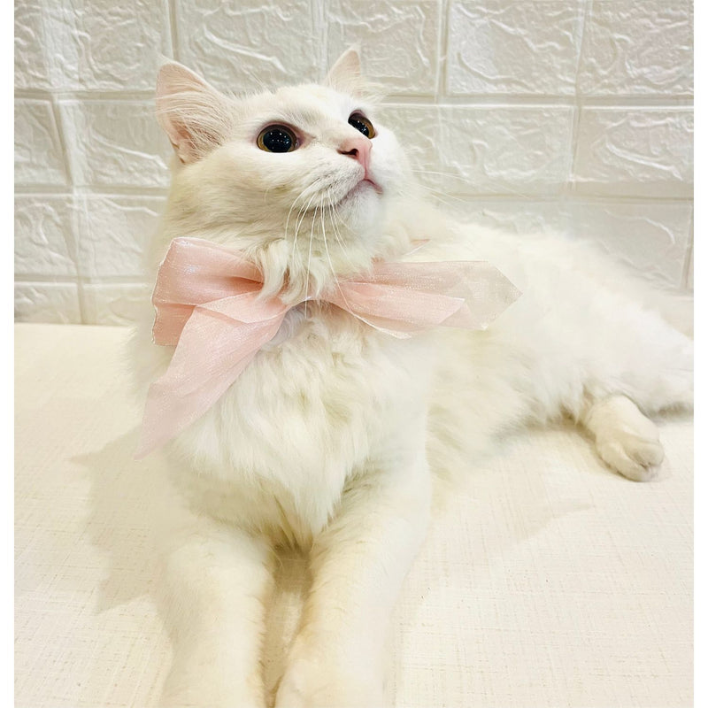Adjustable Bow Tie Collar for Cats - Soft and Stylish Pet Neck Accessories for Kittens a