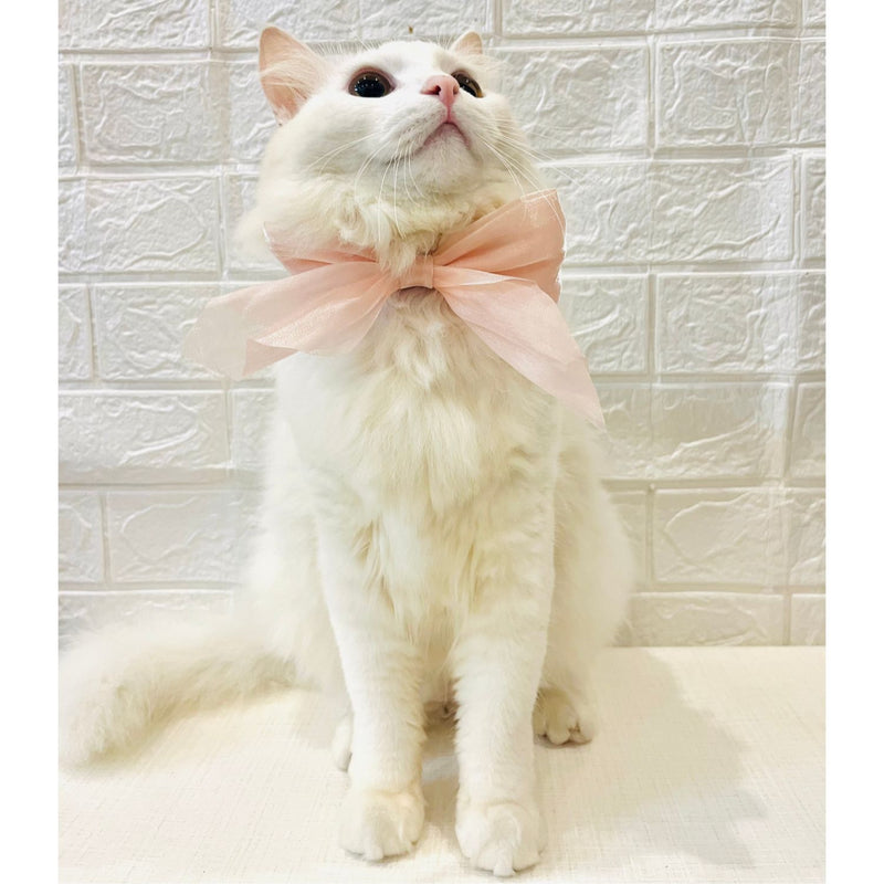 Adjustable Bow Tie Collar for Cats - Soft and Stylish Pet Neck Accessories for Kittens a
