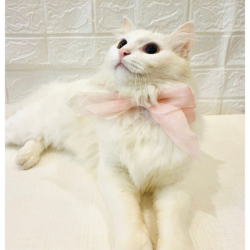 Adjustable Bow Tie Collar for Cats - Soft and Stylish Pet Neck Accessories for Kittens a
