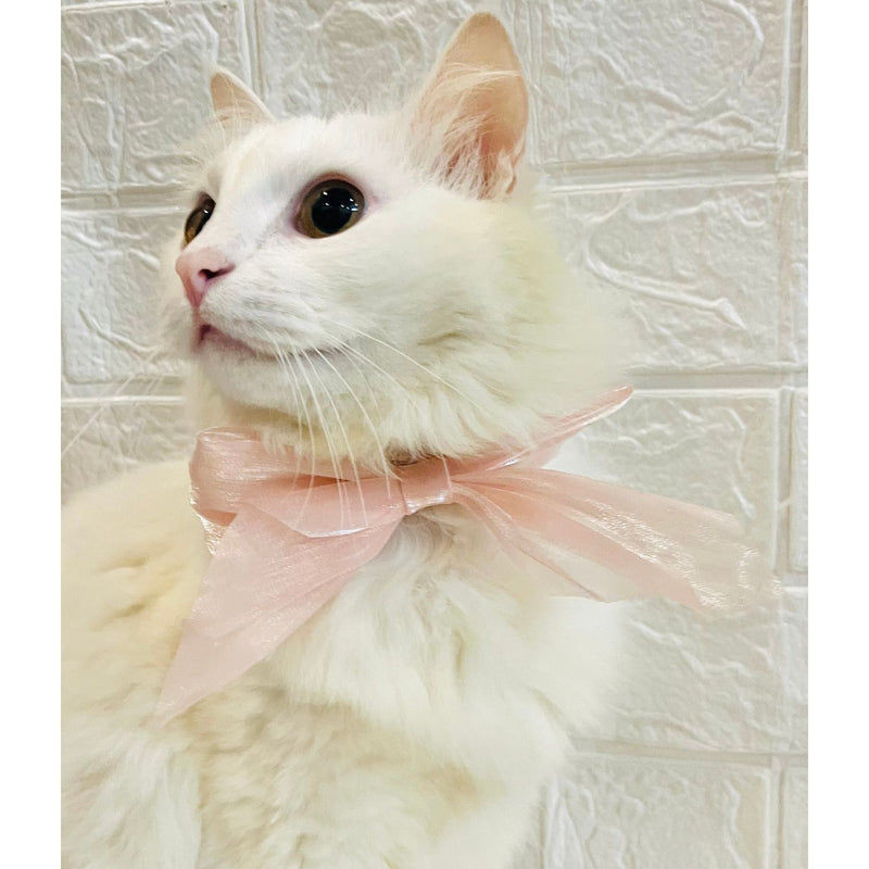 Adjustable Bow Tie Collar for Cats - Soft and Stylish Pet Neck Accessories for Kittens a