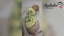 Summer T-shirt For Pets
