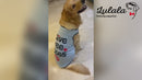 Summer T-shirt For Pets