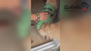 Summer T-shirt For Pets