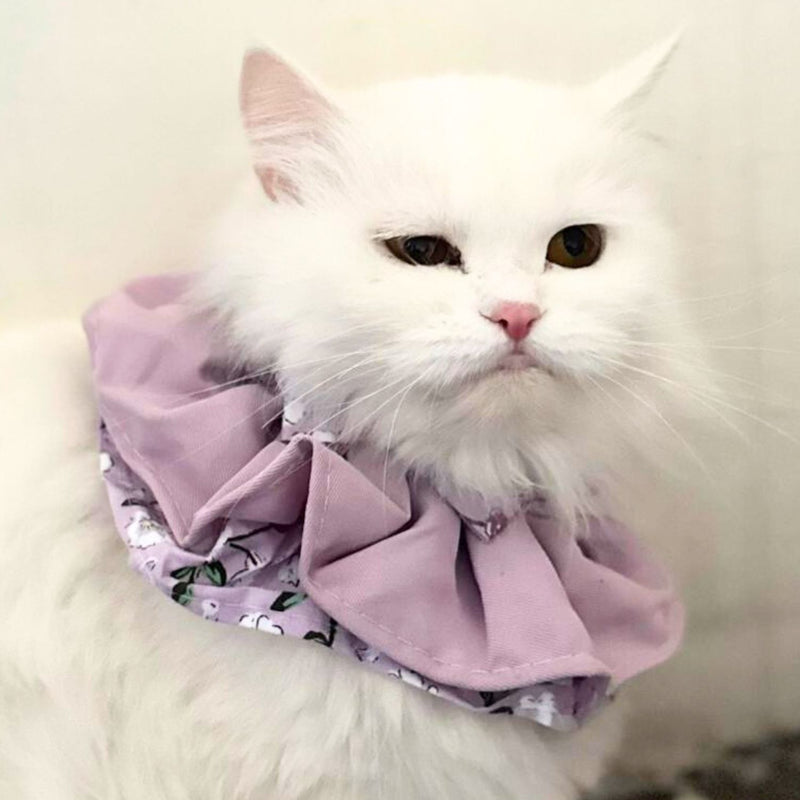 Floral Cat Collar with Bow