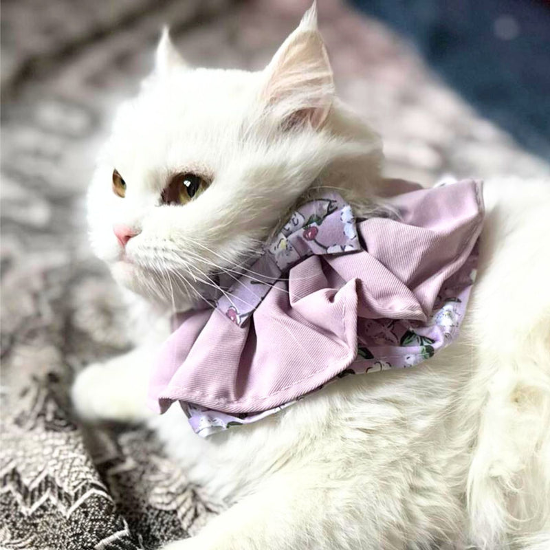 Floral Cat Collar with Bow