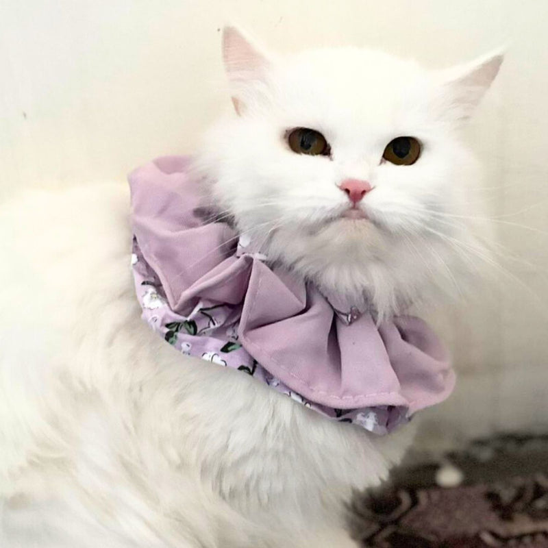 Floral Cat Collar with Bow