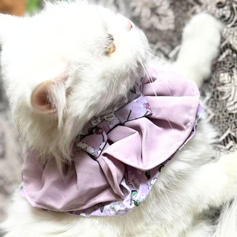 Floral Cat Collar with Bow