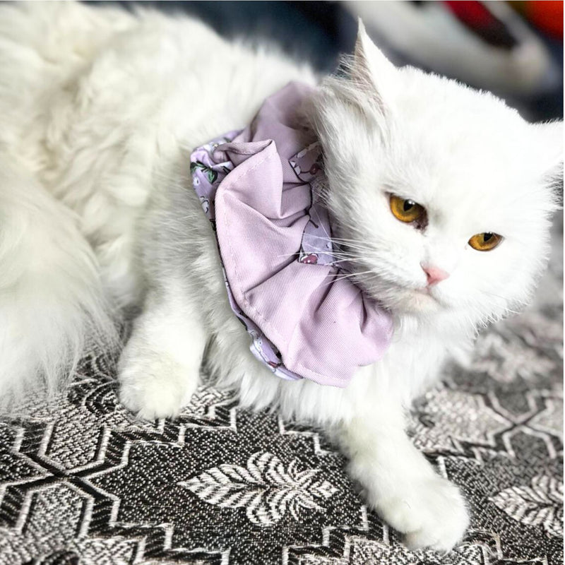 Floral Cat Collar with Bow