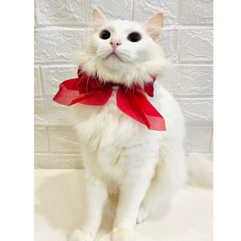 Adjustable Bow Tie Collar for Cats - Soft and Stylish Pet Neck Accessories for Kittens a
