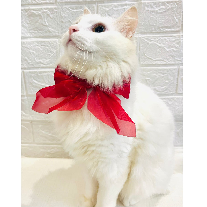 Adjustable Bow Tie Collar for Cats - Soft and Stylish Pet Neck Accessories for Kittens a