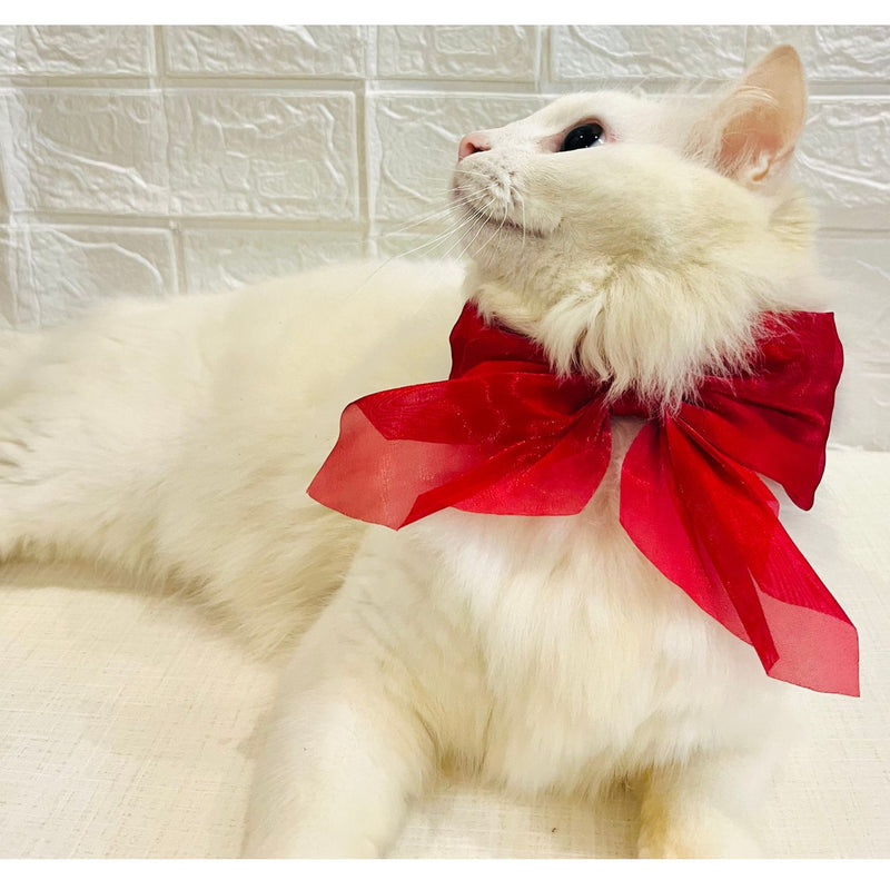 Adjustable Bow Tie Collar for Cats - Soft and Stylish Pet Neck Accessories for Kittens a