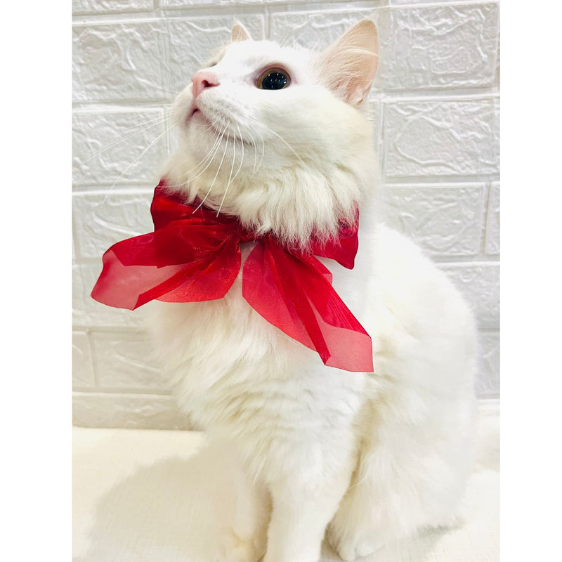 Adjustable Bow Tie Collar for Cats - Soft and Stylish Pet Neck Accessories for Kittens a