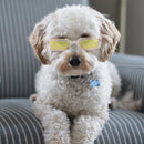Pet Sunglasses Portable  Goggles for Dogs