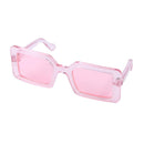 Pet Sunglasses Portable  Goggles for Dogs