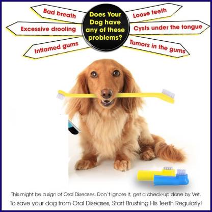 Emily Pets 3 Pieces Dog Toothbrush Set(Color May Vary) Pet Toothbrush  (Young)